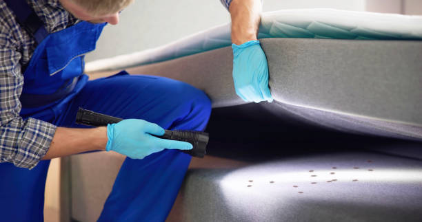 Pest Prevention Services in Bridgeport, WA